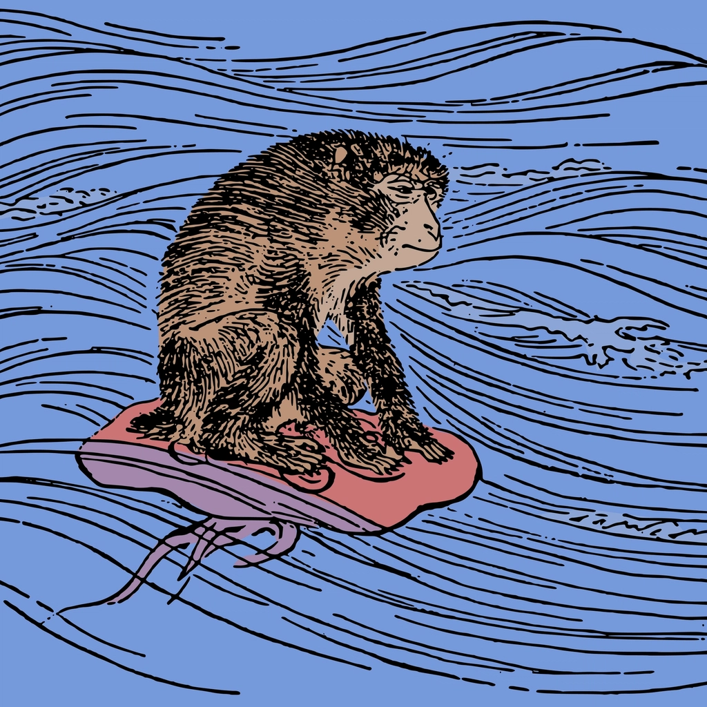 Japanese monkey clipart, animal illustration